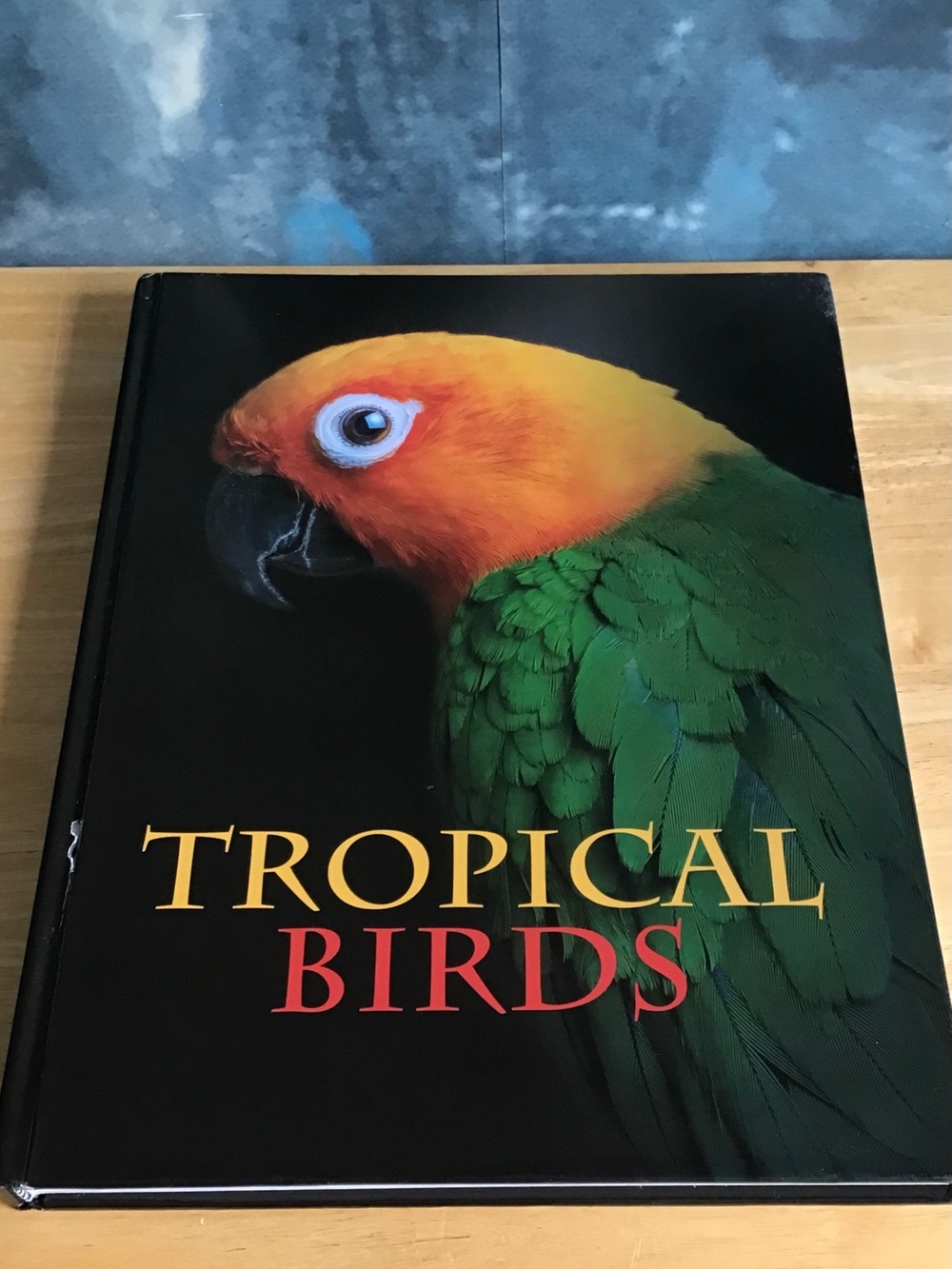 9” X 12” Tropical Birds 224 Page Hardcover Book - Most Pages are Photos of Birds